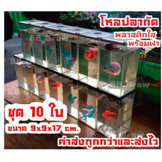 โหลปลากัด โหลเลี้ยงปลากัด  ชุด10ใบ โหลปลาพลาสติกใสพร้อมฝา ตู้ปลากัด เรียงต่อซ้อนเป็นชั้นได้ ขนาด9x9x17cm