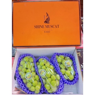 ✨Premium shine muscat grapes ✨ 🧡องุ่นไซมัสปลา ก.สีส้ม 2ช่อ 🧡 🧡องุ่นไซมัสปลา ก.สีส้ม 3ช่อ 🧡 ❄️จัดส่งฟรีแบบแช่เย็น❄️