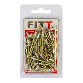 อุปกรณ์ยึดติด ตะปูอะลูมิเนียมยิงรีเวท FITT #4-2 70 ตัว Screws, Nuts &amp; Washers