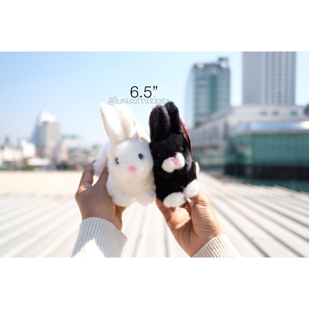 CODตุ๊กตา กระต่าย ท่าหมอบ 65/8 ตุ๊กตากระต่าย Anee Park อานี ปาร์ค