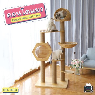 คอนโดแมวขนาดใหญ่ พร้อมเสาลับเล็บ กล่องแมวโดมอะคริลิค ที่นอนหวายเทียม  (BH-TBPJ) Rattan Nest Cat Tree