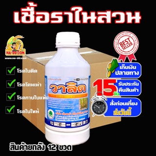 ยกลัง ราคาส่ง วาลิดามัยซิน3% ยกลัง 12 ขวด สารกำจัดเชื้อราเชื้อราเร่งด่วน ใน1-2วัน กำจัดโรคใบไหม้ของข้าว