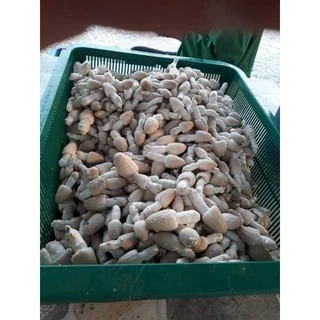 เชื้อเห็ดโคนน้อย 5 ก้อน 70 บาท