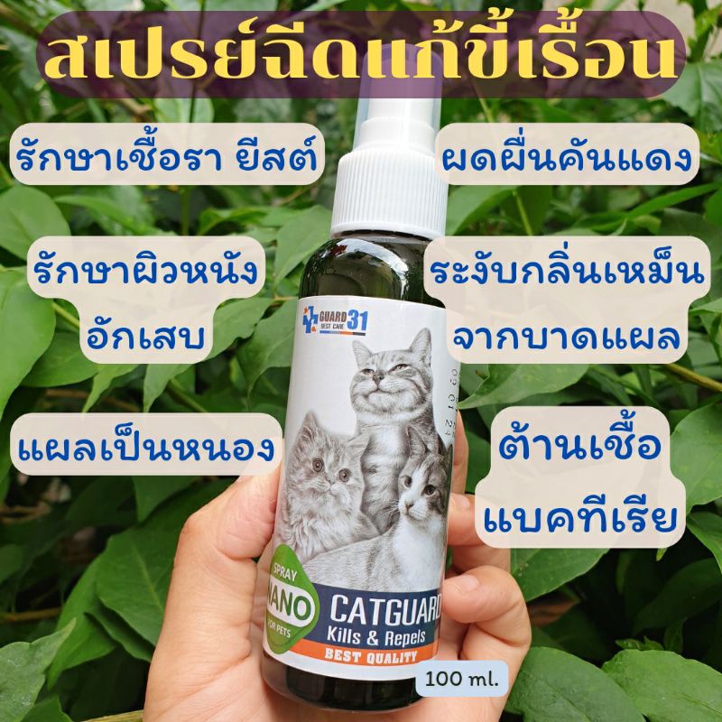 ส่งด่วน สเปรย์เชื้อราแมว ขจัดเชื้อรา ขี้เรื้อน เชื้อยีสต์ ขจัดตัวไรขน ขนหลุดร่วงเป็นกระจุก ลดอาการคัน 100ml. เลียได้