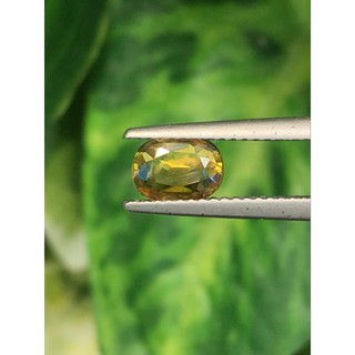 พลอย บุษราคัม (Yellow Sapphire) 0.95 กะรัต (Cts.)