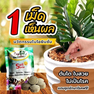 ปุ๋ยดินยิ้ม Soil smile  เน้นบำรุงต้น รักษาใบเหลือง ใบไม่ร่วง ต้นโต ใบสวยสูตรบำรุงดิน ป้องกันโรค( หมวดปุ๋ย )