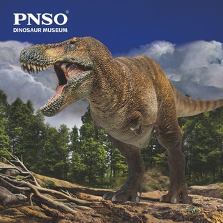 Pnso โมเดลพิพิธภัณฑ์ไดโนเสาร์ Wilson the Tyrannosaurus Rex 1:35 สําหรับตกแต่งบ้าน