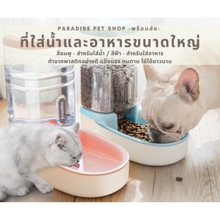 พร้อมส่ง ที่ให้น้ำ ที่ให้อาหารแมวขนาดใหญ่ [PT_0014]