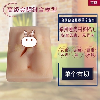 โมเดลหุ่นอนาโตมี่ Vulva Suture Practice Model Perineorrhaphy Stitch Exercise Module Obstetrics and Gynecology Suture Ski