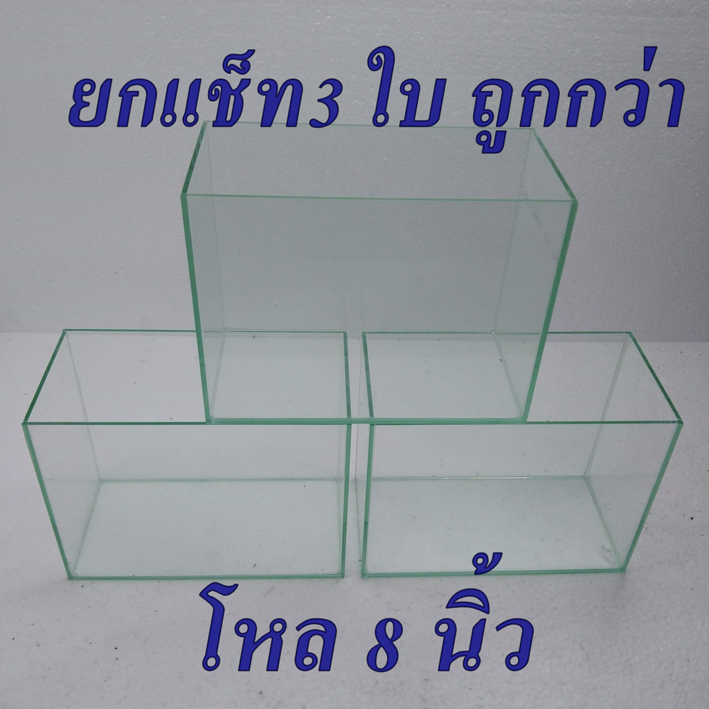 โหลปลา โหลกุ้ง (ขนาด 8x4x6 นิ้ว/ 6x4x8) 3 ใบ