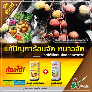 [ 🔥โปรโมชั่น🔥 ] ชุดแก้ปัญหาร้อนจัด หนาวจัด ลำไย ช่วยเร่งการเคลื่อนย้ายสารอาหาร ขนาด 1 ลิตร + 1 ลิตร (รวม 2 ลิตร)