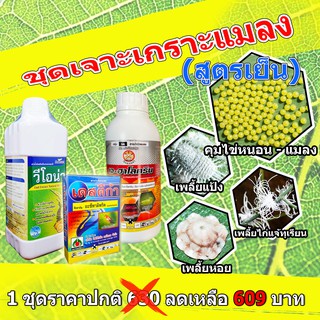 **ขายยกชุด** เดสติก้า+เจฮาโลทริน+วีโอน่า สำหรับใช้ป้องกันกำจัดแมลงและหนอน สูตรเย็น