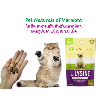 L-Lysine​ for​ Cats, ไลซีนแมว เสริมภูมิแมว อาหารเสริมแมว ขนมรูปปลา แบ่งขาย 20 เม็ด