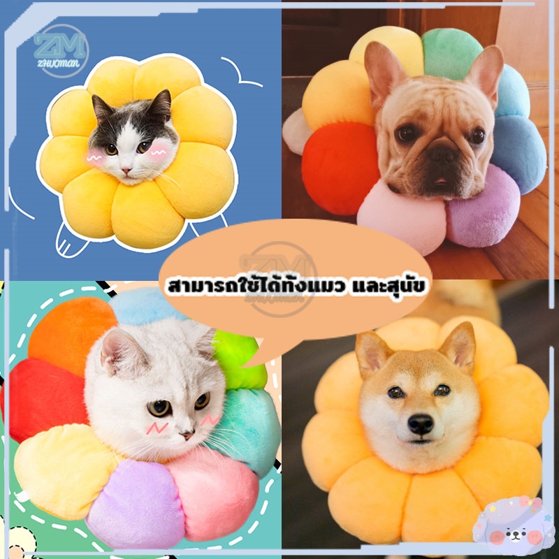 ปลอกคอกันเลีย คอลล่าแมว ปลอกคอสัตว์เลี้ยง คอลล่ากันเลีย คอลล่าหมา คอลล่าสุนัข ป้คอลล่าสุนัข คอลล่าดอก Collar