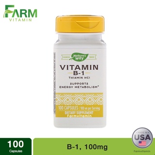 Natures Way, Vitamin B-1, 100 mg, 100 Capsules