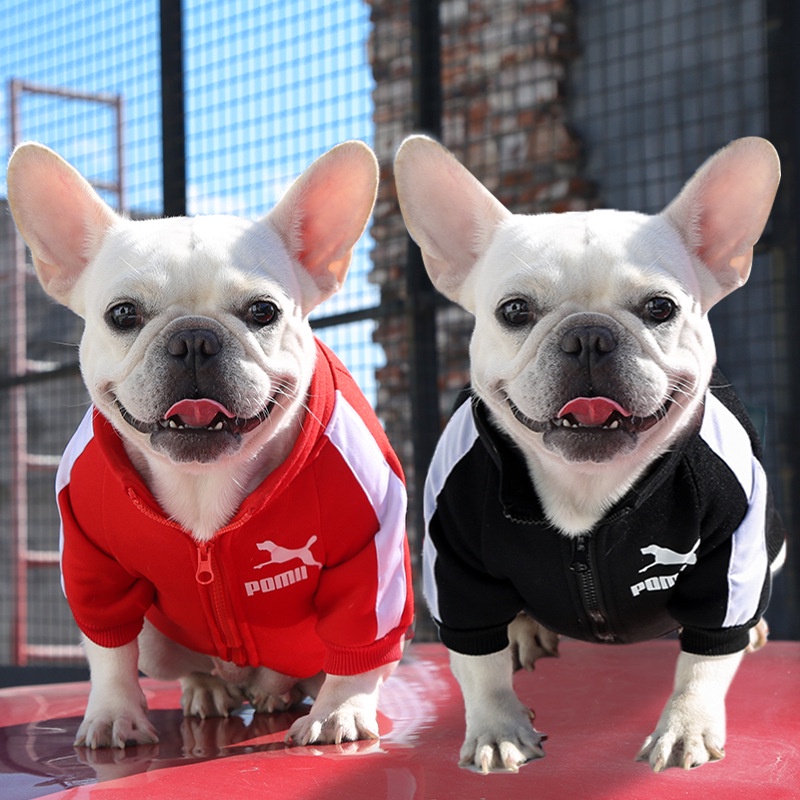 【พร้อมส่ง】เสื้อแจ็กเก็ตกันหนาว มีซิป พิมพ์ลายตัวอักษร Bulldog Bichon ให้ความอบอุ่น สําหรับสัตว์เลี้ยง สุนัข