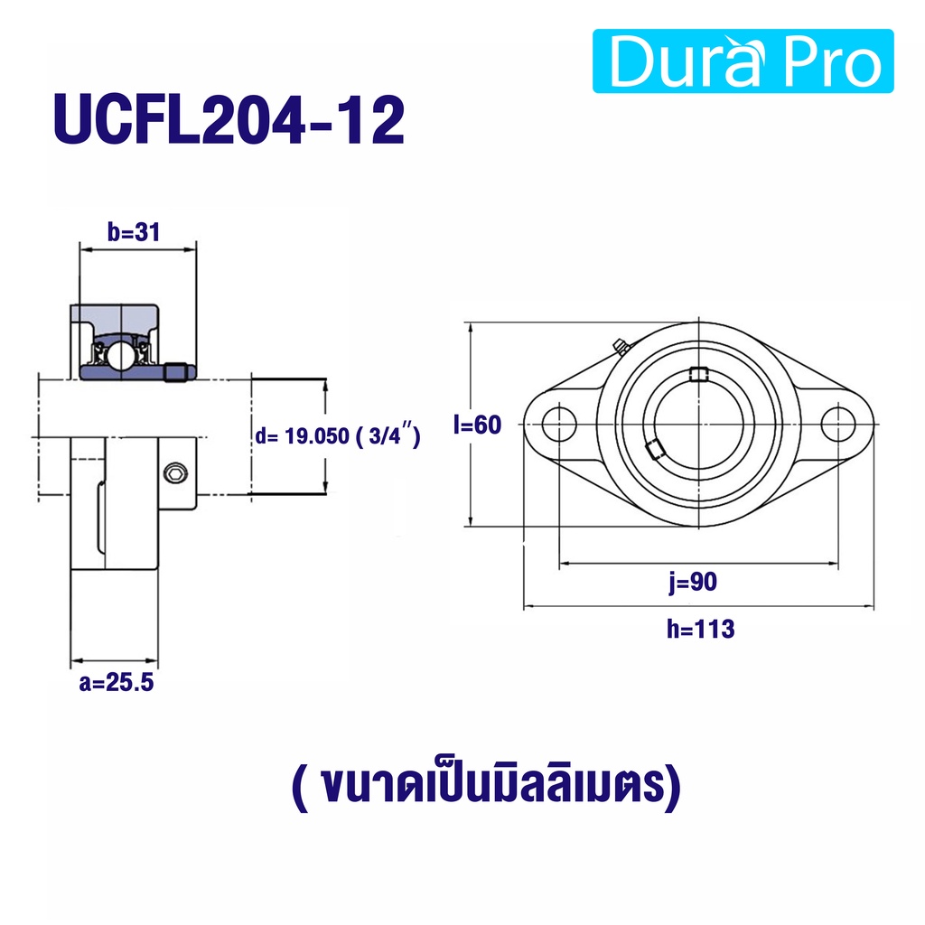 UCFL204-12 UCFL205-16 UCFL206-18  ตลับลูกปืนตุ๊กตา BEARING UNITS UCFL204-12 - UCFL206-18 - รูปที่ 2