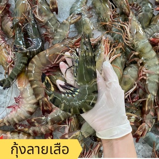 กุ้งลายเสือ 20-25 ตัวโล / Heng Heng Seafood