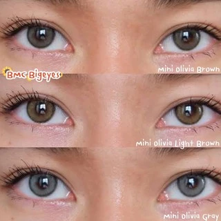 คอนแทคเลนส์ Mini Olivia Brown / Light Brown / Gray (Kitty Kawaii) ขนาดมินิ 🌷 ลายฮิต ขายดีมาก