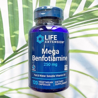 (Life Extension®) Mega Benfotiamine 250 mg 120 Vegetarian Capsules เมก้า เบนโฟไทอามีน วิตามิน B1 B 1 B-1 บี 1 บี1