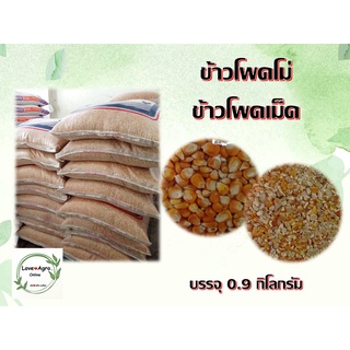 ข้าวโพดเลี้ยงสัตว์ ข้าวโพดไก่ ข้าวโพดเม็ด ข้าวโพดโม่ ขนาด 0.9 กิโลกรัม บรรจุถุงซิปล็อค