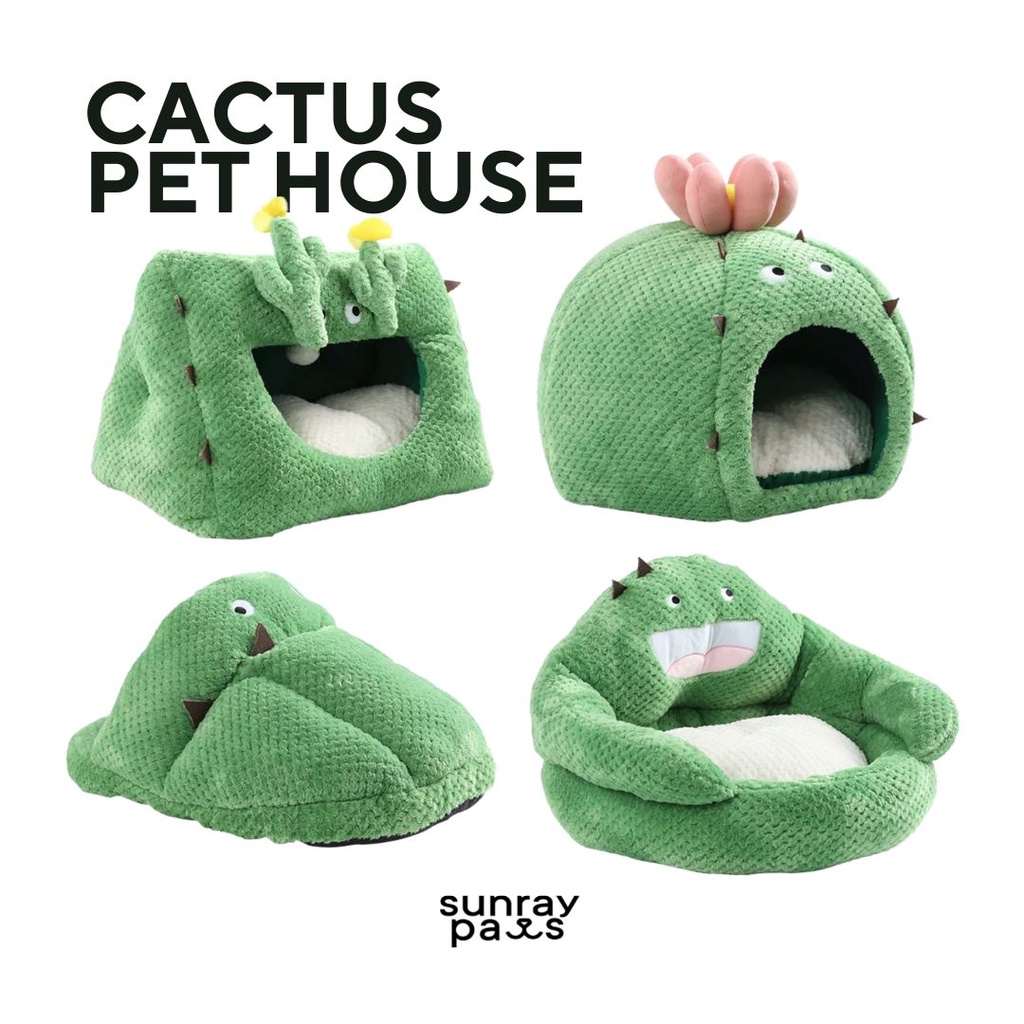 บ้านแมว CACTUS PET HOUSE