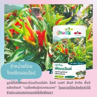 GGEW พริกขึ้หนูพัฒนฉันท์ 150เมล็ด ตราศรแดง พริกช่อ แบบเม็ดใหญ่เมล็ดพันธุ์พระราชทาน จันกะผัก Bunch Chilli