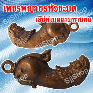 ปลัดหัวชะมดเพชรพญาธร หรือ ทิพยาธร จัดส่ง 1-3 วันได้รับ