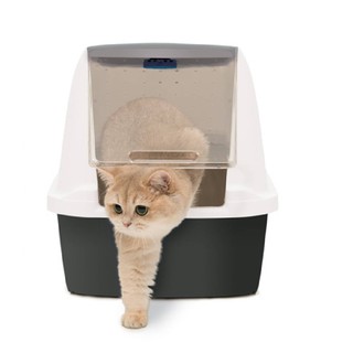 Cat it ห้องน้ำแมว กระบะทราย ล็อค และดูดซับ กลิ่นฉุนจาก ammonia สำหรับแมว