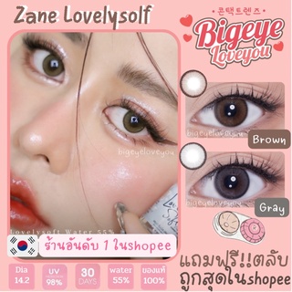 คอนแทคเลนส์🌈Zane🌈 Brown/Gray (Lovelysoft) ขนาดมินิ💖