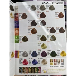 Dcash Professional Master Color Cream 60 ml. ดีแคช โปรเฟสชั่นนอล มาสเตอร์ คัลเลอร์ ครีม 60 มล.