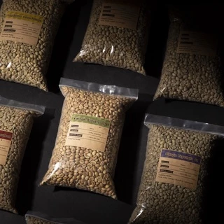 สารกาแฟโรบัสต้า Robusta green bean DAY ONE COFEE
