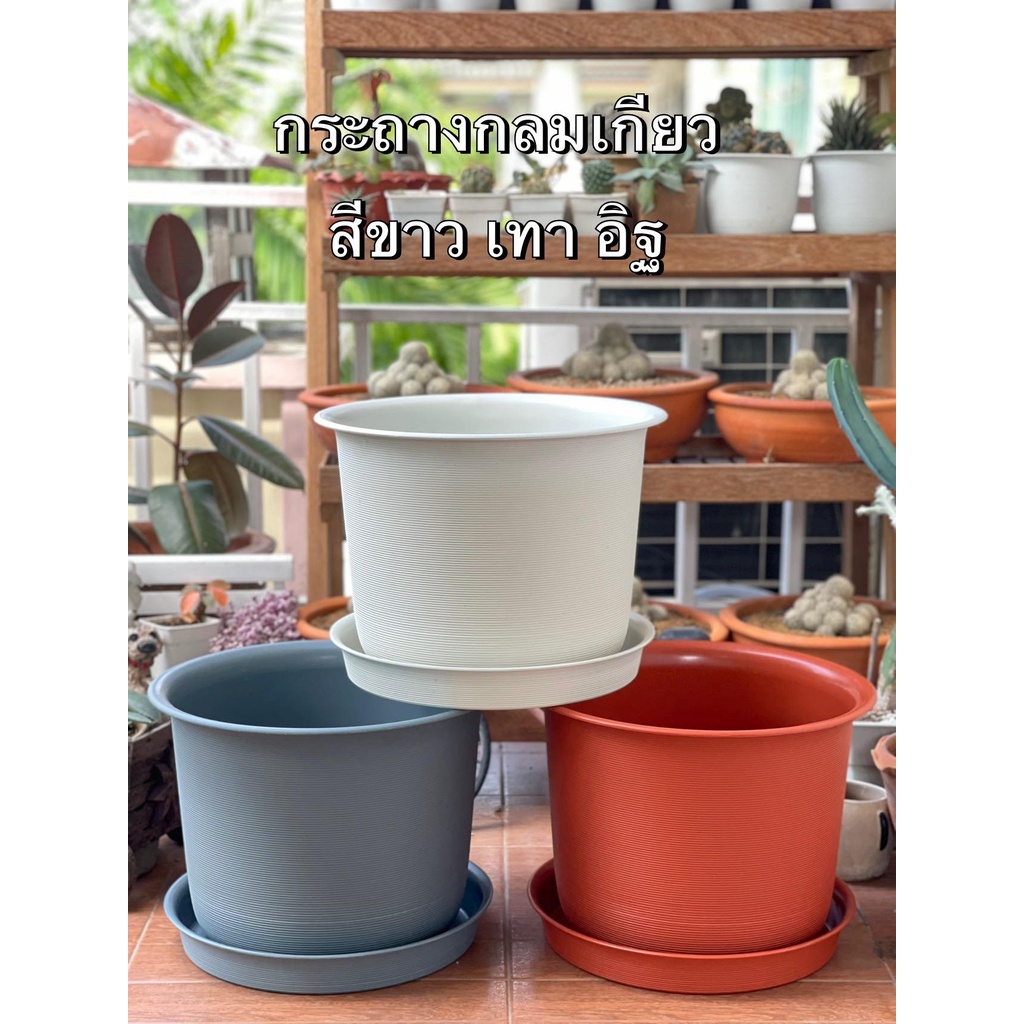 กระถางต้น12นิ้วและ15นิ้วพลาสติกพร้อมจานรอง(minimal)(เกียว)