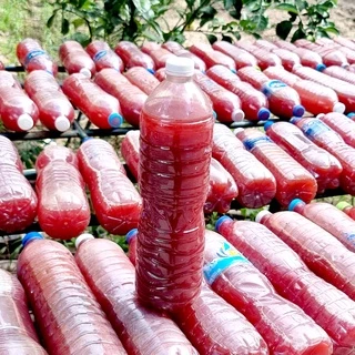 หัวเชื้อจุลินทรีย์สังเคราะห์แสง PSB ขวด 0.25 -1.5 ลิตร สูตรเข้มข้น หัวเชื้อแท้ 100% เร่งแตกราก ออกดอก ผลดก 0.25-1.5ลิตร