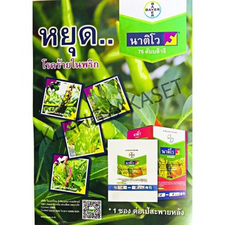 🌾 นาติโว ขนาด 15 กรัม ® 75 ดับบลิวจี® (Nativo® 75 WG) สารป้องกันกำจัดเชื้อรา เม็ดด่าง ใบจุด ราแป้ง ใช้ช่วงข้าวออกรวง