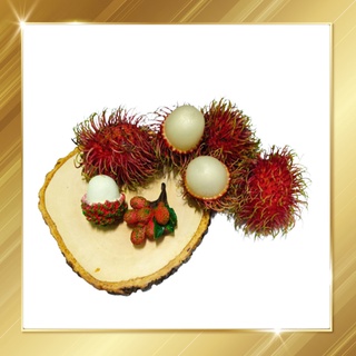 แม่เหล็กติดตู้เย็น ผลไม้ Fruit Magnets - รูป Rambutan 3 มิติ