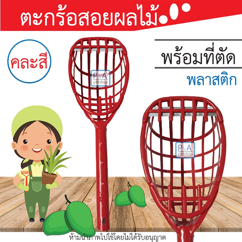 พร้อมส่ง!! ตะกร้อสอยผลไม้_พร้อมใบมีด / ตะกร้อสอยมะม่วง /ตะกร้อสอยมะนาว [คละสี]