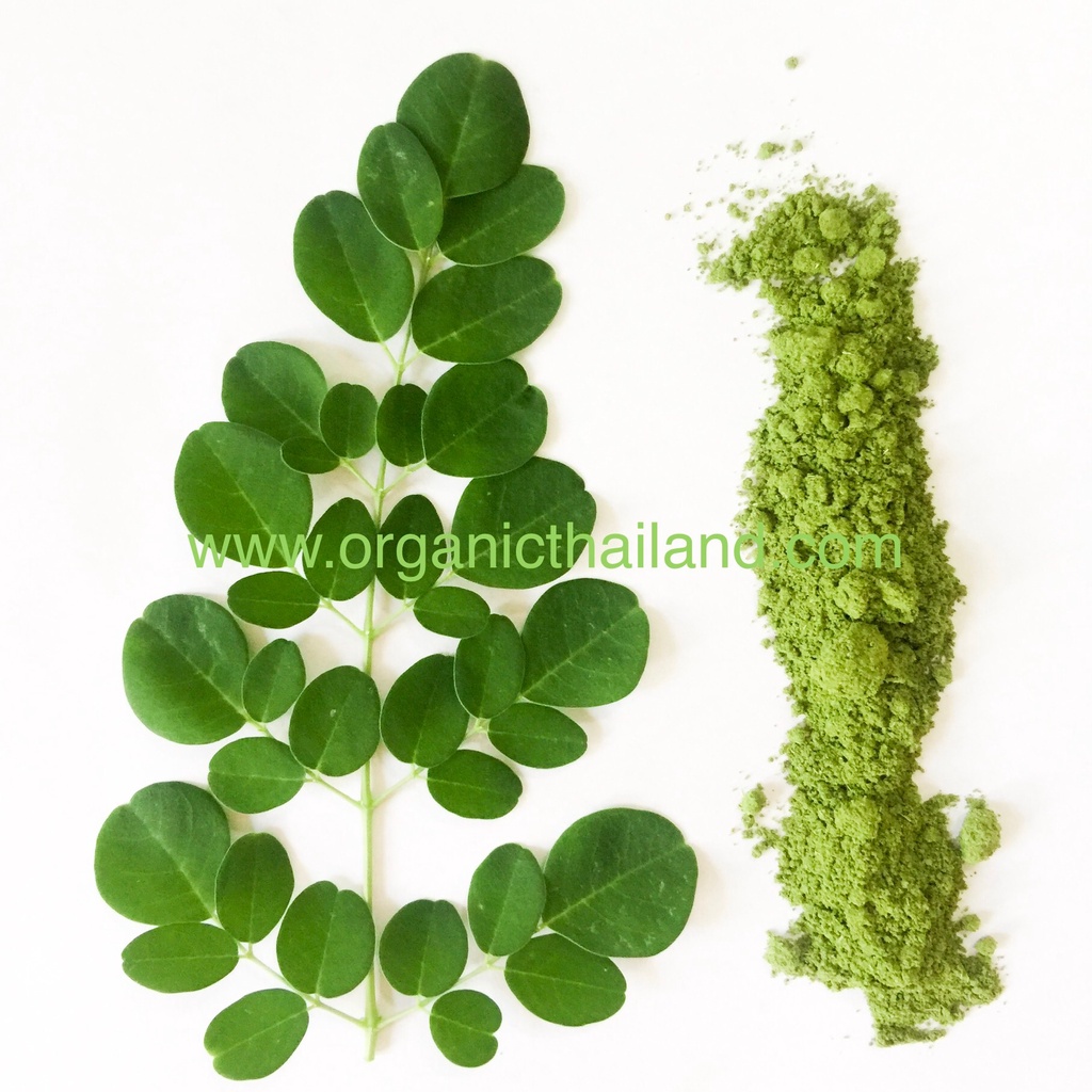 ใบมะรุม บดผง 100g Moringa Leaf Powder