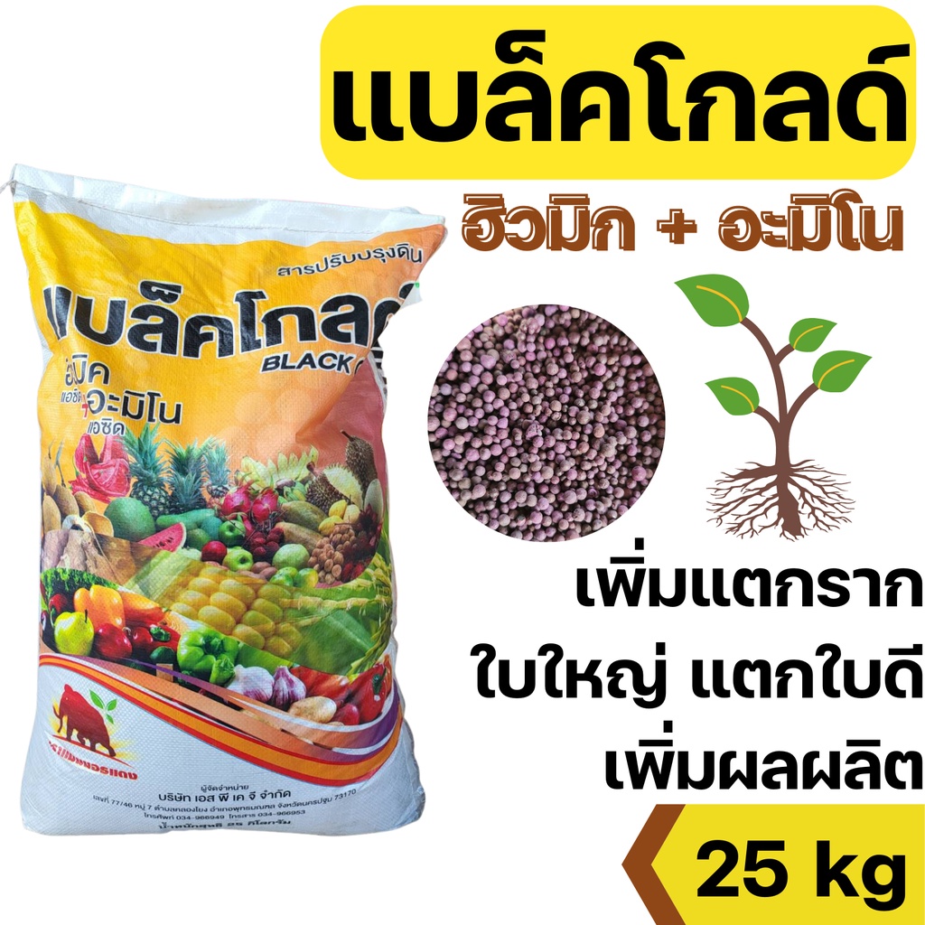 [1กระสอบ][25kg] อะมิโน ฮิวมิค ชนิดเม็ด แบล็คโกล เพิ่มใบใหม่ ใบใหญ่ใบหนา เพิ่มราก ดินดี