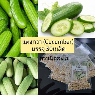 เมล็ดพันธุ์แตงกวา30เมล็ด(มีเก็บเงินปลายทาง)