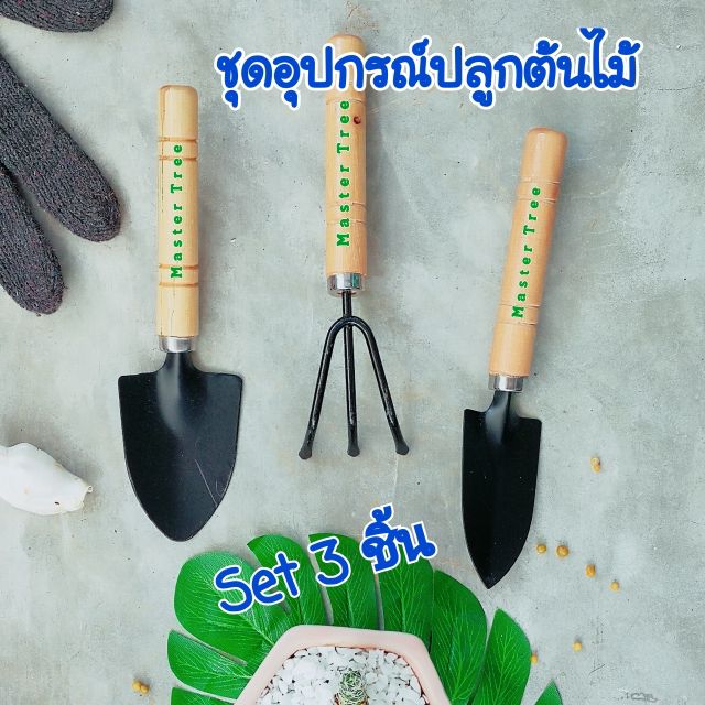 ชุดอุปกรณ์ปลูกต้นไม้ ขนาดเล็ก | Shopee Thailand