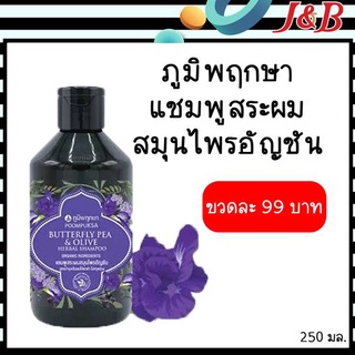 POOMPUKSA BUTTERFLY PEA &amp; OLIVE HERBAL EXTRACT SHAMPOO ภูมิพฤกษา แชมพูสระผมสมุนไพรอัญชัน