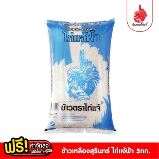 [ฟรีค่าจัดส่ง 70บาท] ข้าวตราไก่แจ้  ข้าวไก่แจ้ฟ้า ข้าวเหลืองสุรินทร์ ขนาด 5 กิโลกรัม