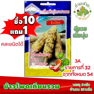 (ซื้อ10แถม1) เมล็ดพันธุ์ ข้าวโพดเทียน รวม Mix Waxy Corn ประมาณ 100เมล็ด 3A สามเอ ผักสวนครัว เมล็ดพันธุ์พืช เมล็ดผัก