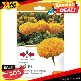 เมล็ดพันธุ์ดาวเรือง F1 เทวี เมล็ดพันธุ์ MARIGOLD SEED EAST-WEST SEED THEVEE F1 ต้นไม้และเมล็ดพันธุ์