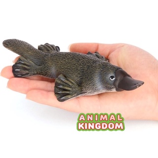 Animal Kingdom - โมเดลสัตว์ ตุ่นปากเป็ด เทาเขียว ขนาด 17.50 CM (จากสงขลา)