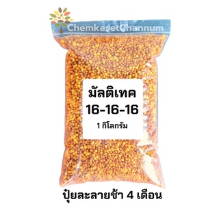 มัลติเทค สูตร 16-16-16 สูตรบำรุงทั่วไป -ขนาด 1 กิโลกรัม