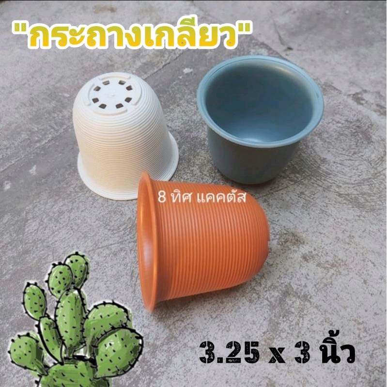 กระถาง จัมโบ เกลียว 3.5 นิ้ว (3.25นิ้ว) // กด 12 ใบ 80 บาท -- กระถางพลาสติก กระถางแคคตัส กระบองเพชร