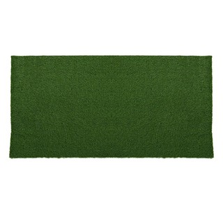 หญ้าเทียมม้วนมนิลา 25 มม. 1x2 ม. MANILA ARTIFICIAL TURF ROLL SPRING 25MM 1X2M