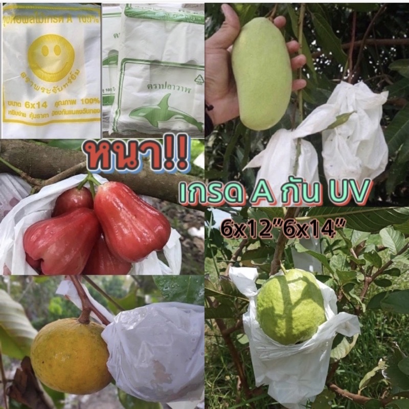 ถุงห่อฝรั่งผลไม้แบ่งขายกันUVไม่ต้องห่อกระดาษอย่างหนา เจาะรู 3 รู